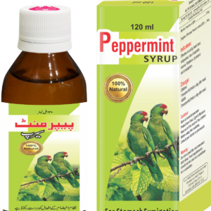 Peppermint Syrup